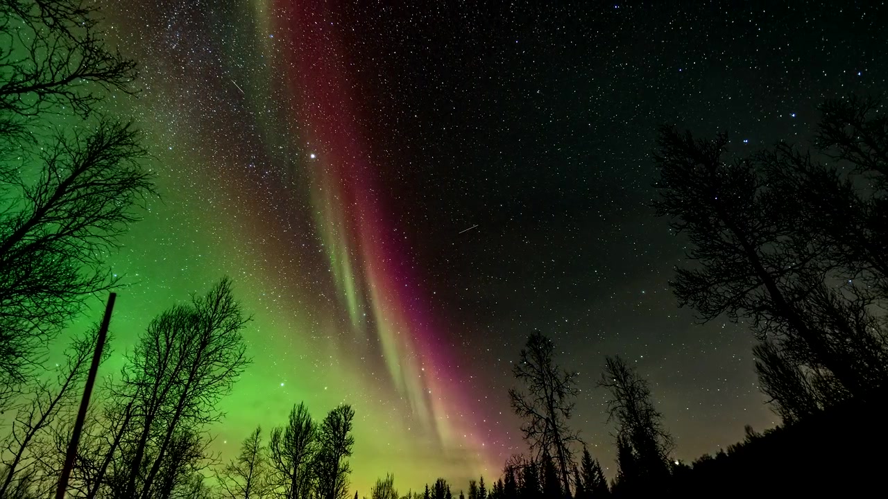 Levende grønt og rosa nordlys danser på klar og stjerneklar nattehimmel, lavt perspektiv