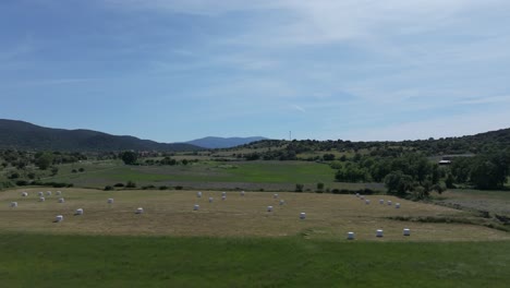 drone flight over a rural area with green meadows separated by walls and in one of them the grass has been mowed and there are large round bales of straw covered with white plastic in avila