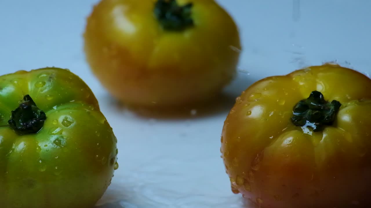 진정적 인 느린 동작: 신선 한 유산 토마토 에 떨어지는 물방울