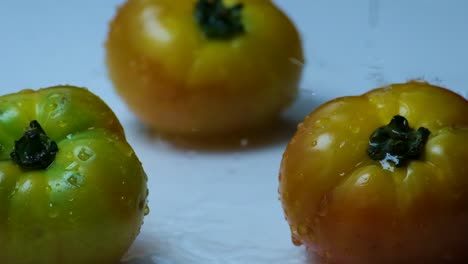 cámara lenta calmante: gotas de agua que caen sobre el tomate fresco de la herencia