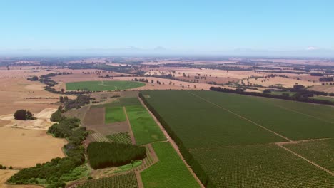 Toma-De-Establecimiento-De-Huertos-Y-Viñedos-En-El-Valle-De-Malleco,-Chile.