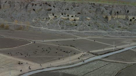 Gente-Y-Rebaño-De-Ovejas-En-El-Campo-Cerca-De-Shahr-e-Gholghola-En-Bamyan,-Afganistán