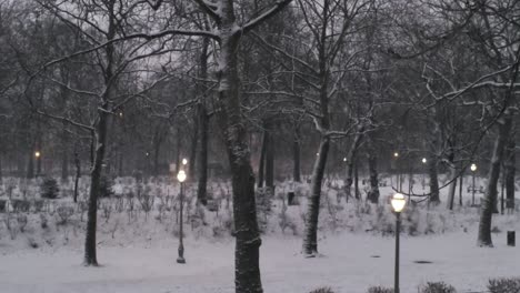 Una-Pareja-Joven-Camina-Por-Un-Parque-Cubierto-De-Nieve,-Las-Lámparas-De-La-Calle-Cálidas-Y-Suaves-Se-Iluminan,-Aéreas