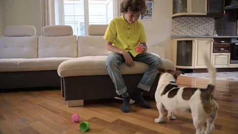 blond boy with curly hair sitting on the couch while playing with his dog. the dog takes the ball from his hands