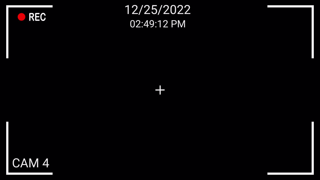 Digital Camera Recording Interface Overlay with Date and Time