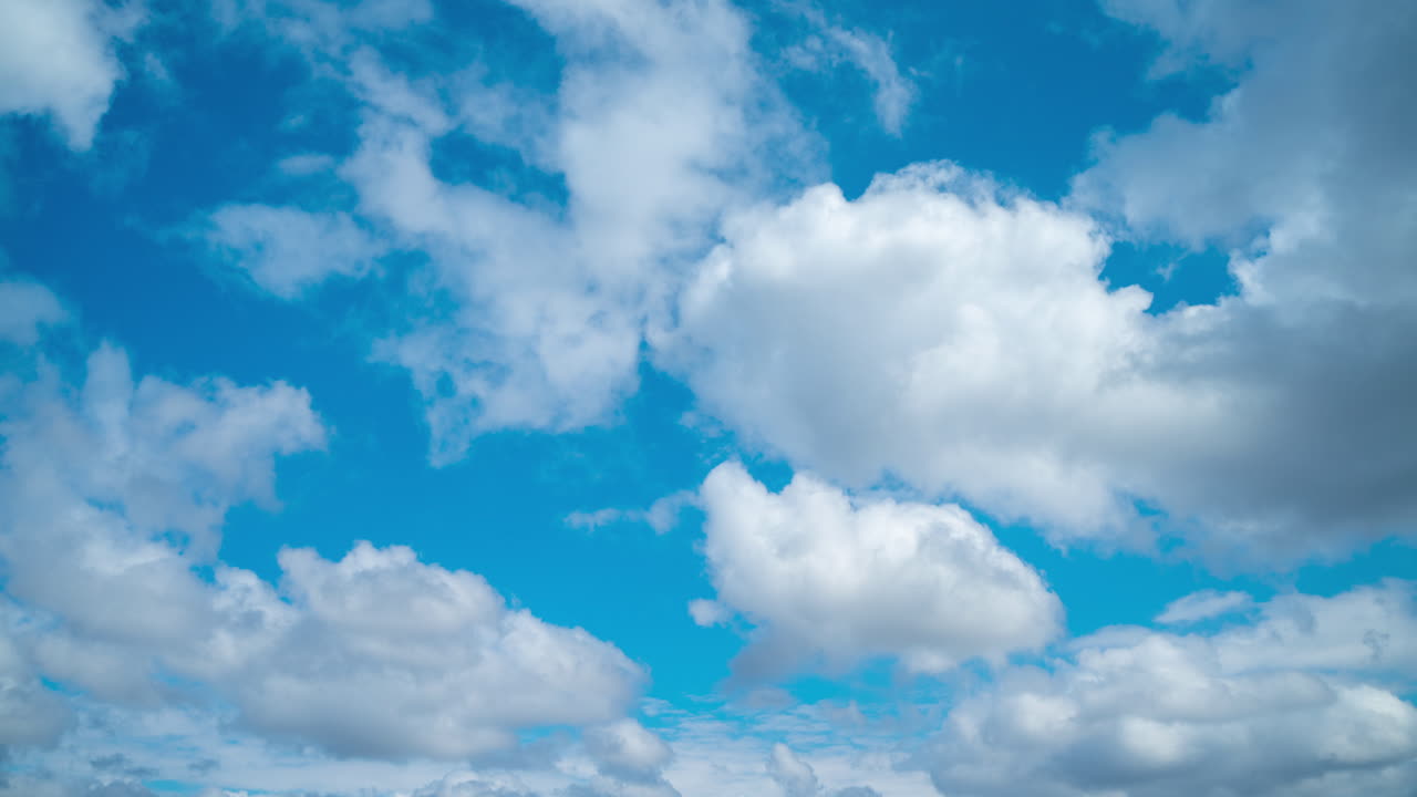 White cumulus clouds move quickly against a bright deep blue sky. Sunny spring day with strong wind. Timelapse