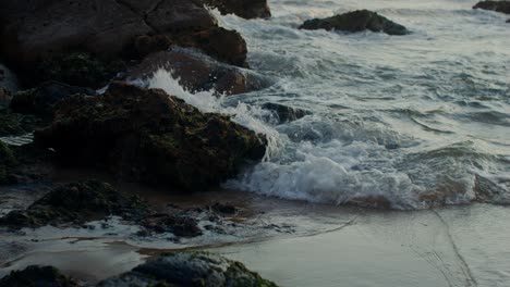 coastal rocks and waves