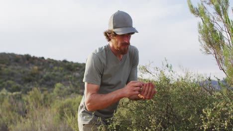 Bearded-caucasian-male-survivalist-gathering-berries-in-wilderness