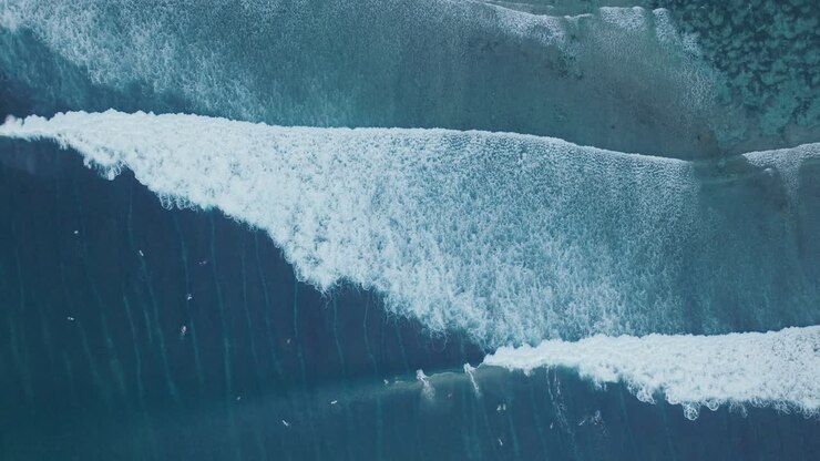 Top Down Drone of surfers and wave action at low tide over coral and rock reef at sunset, Bingin Beach, Bali, Uluwatu Indonesia
