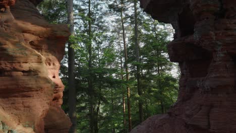 Stunning-view-of-a-pine-tree-forest-through-an-opening-in-the-red-rock-formation-of-Altschlossfelsen,-Germany