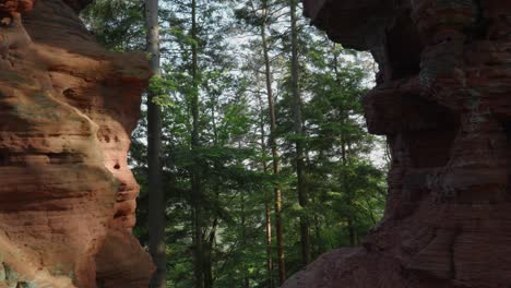 stunning view of a pine tree forest through an opening in the red rock formation of altschlossfelsen, germany