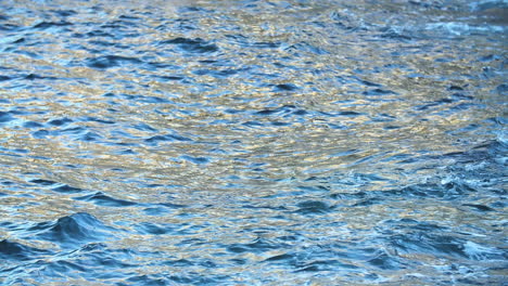 Im-Goldblauen-Wasser