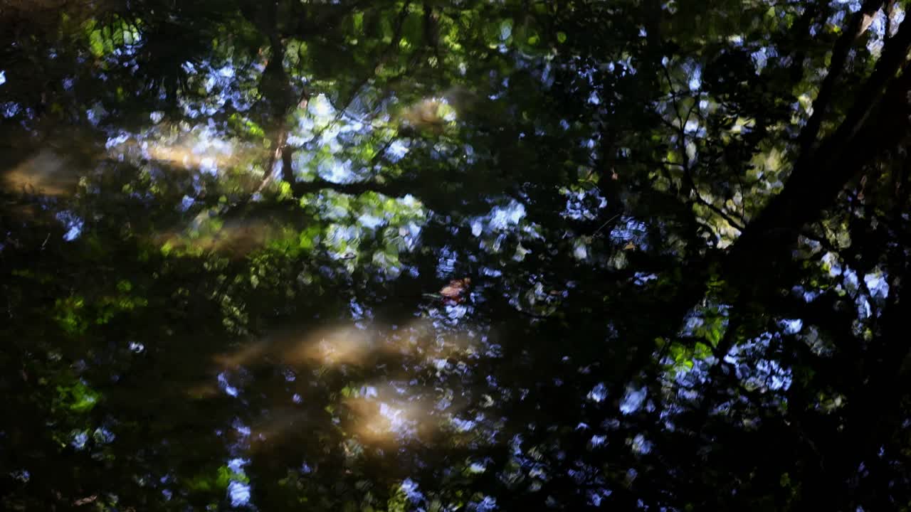 리쿠기엔 정원의 아름다운 풍경