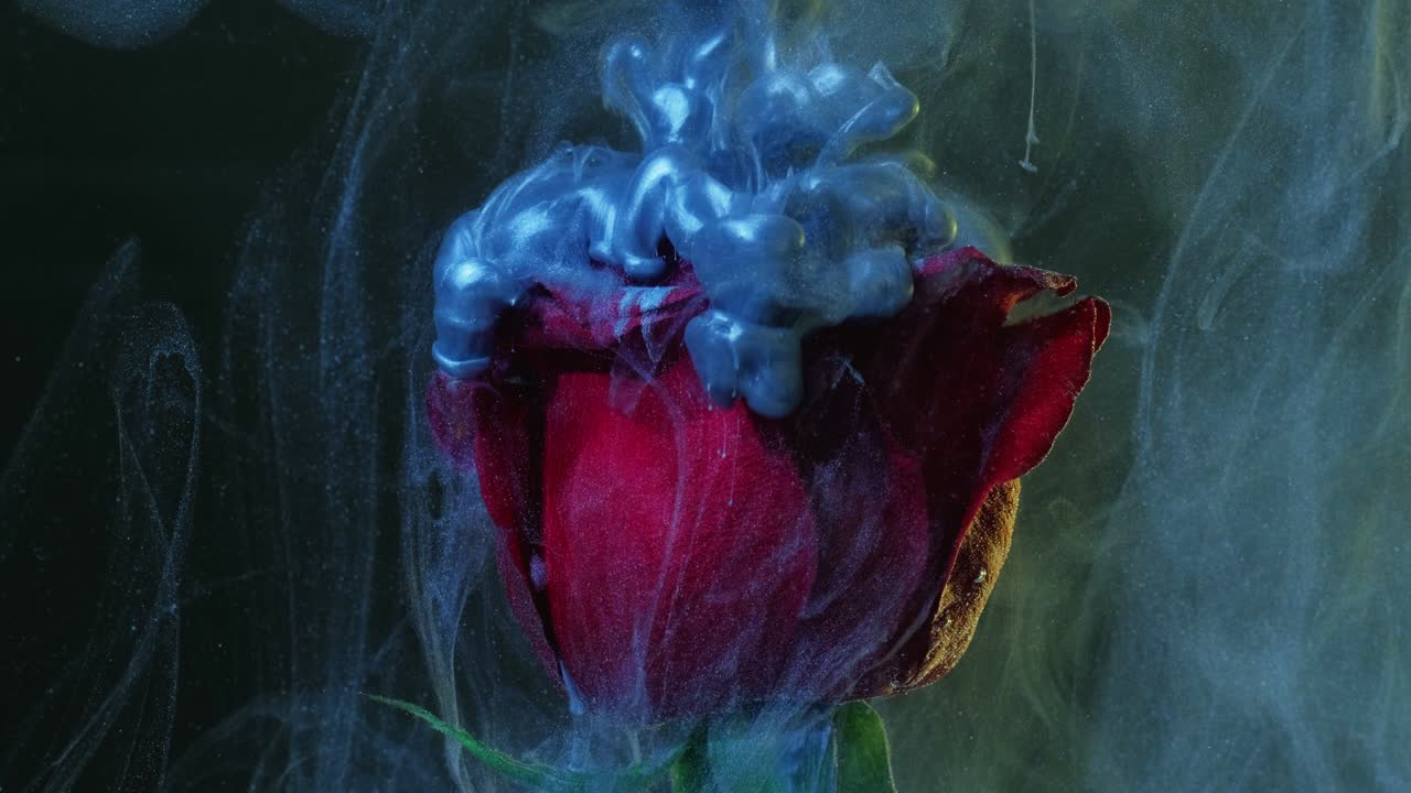 salpicaduras de tinta de flor desvanecido denim movimiento de vapor azul