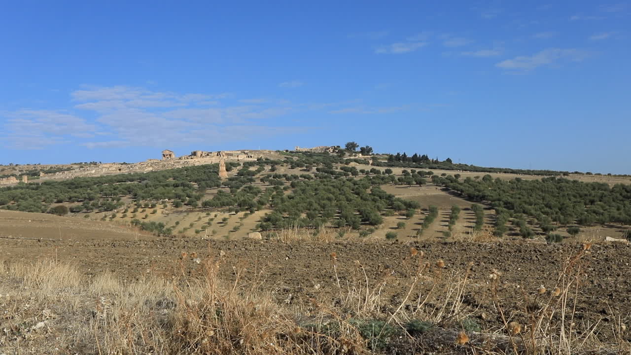 vista de la cima de la colina de las ruinas romanas en dougga con olivares bajo el cielo azul