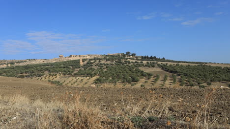 Blick-Vom-Hügel-Auf-Römische-Ruinen-In-Dougga-Mit-Olivenhainen-Unter-Blauem-Himmel