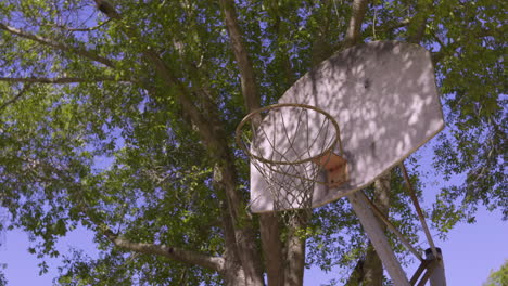 abandoned rusty basketball hoop sits unused in residential park