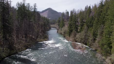 Beautiful-River-and-Forest-Scenery-in-Oregon,-by-the-Tioga-Bridge---Aerial-Landscape