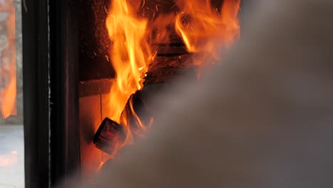 medium shot of female hand opening modern indoor wood heater door and placing piece of dry timber into orange flames and charcoal red hot base before closing door for warmth