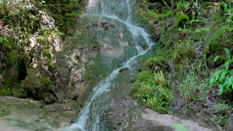 tilt down shot showing idyllic waterfall crashing down the rocky mountains in slow motion - growing plants and moss in wilderness of switzerland