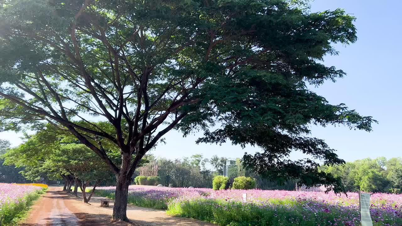 전통 의복 을 입은 동상 들 이 활기찬 꽃 들 사이 에