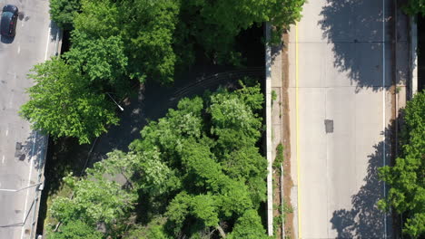 A-top-down-view,-directly-over-a-parkway-median-with-green-trees