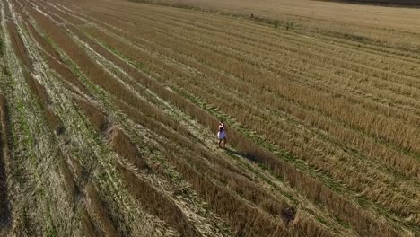 person walking through a harvested wheat field