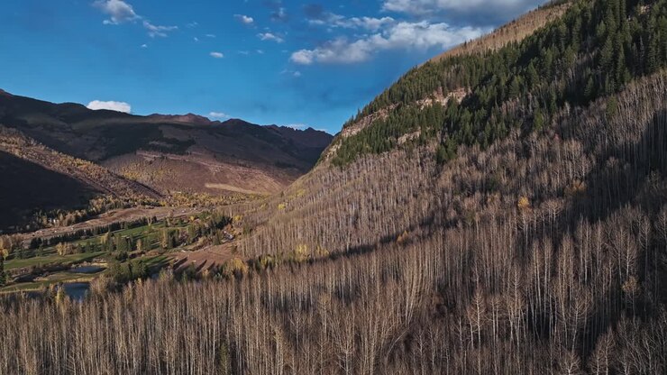 Serene golf course surrounded by Vail's mountains, with bare and evergreen trees and rugged cliffs beyond