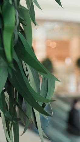 a close-up view of a plant with leaves in focus, while the background features a blurred escalator scene in a shopping mall