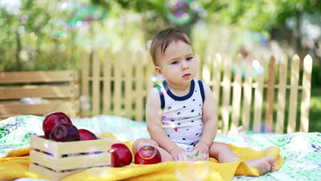 cute little child sitting on the blanket outdoors. a box of apples beside the kid. lovely baby watching the soap bubbles fly. blurred nature backdrop.