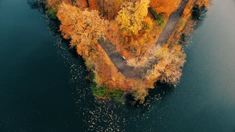 Bosque-Aéreo-En-Increíbles-Tonos-Otoñales-Con-Camino-Escondido-Bajo-Las-Copas-De-Los-árboles