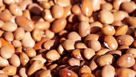 un montón de frijoles marrones