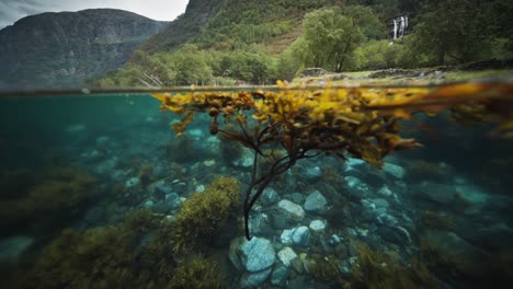 an over-under water video