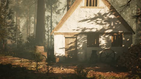 old wooden house in the autumn forest