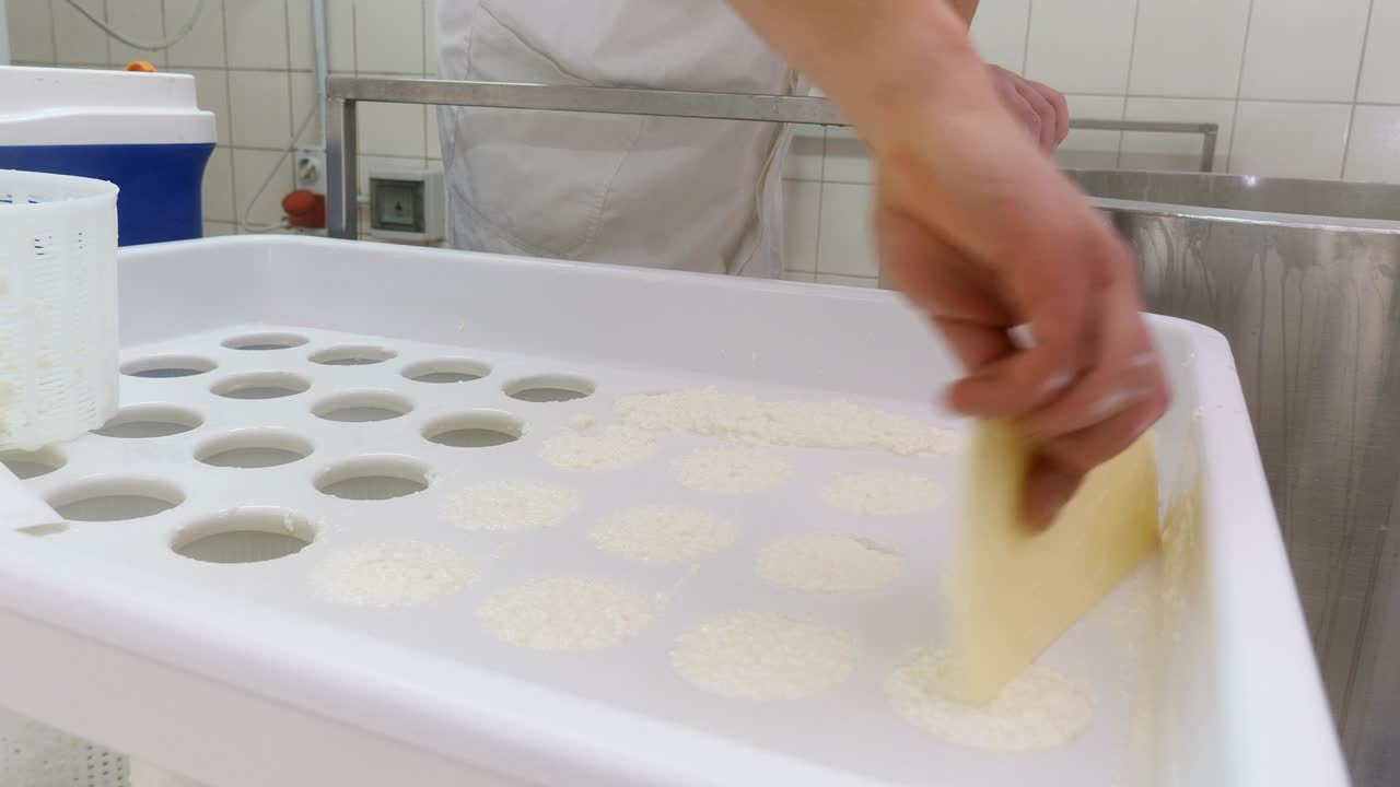 working on cheese'smolds- Diary Cheese Factory