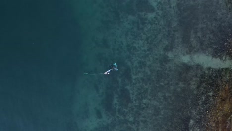 High-view-of-scuba-divers-swimming-underwater-with-equipment-on-a-sunken-tropical-reef-in-blue-water