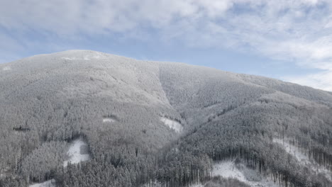 bosques en la ladera de una montaña nevada en invierno, pico de montaña en chequia