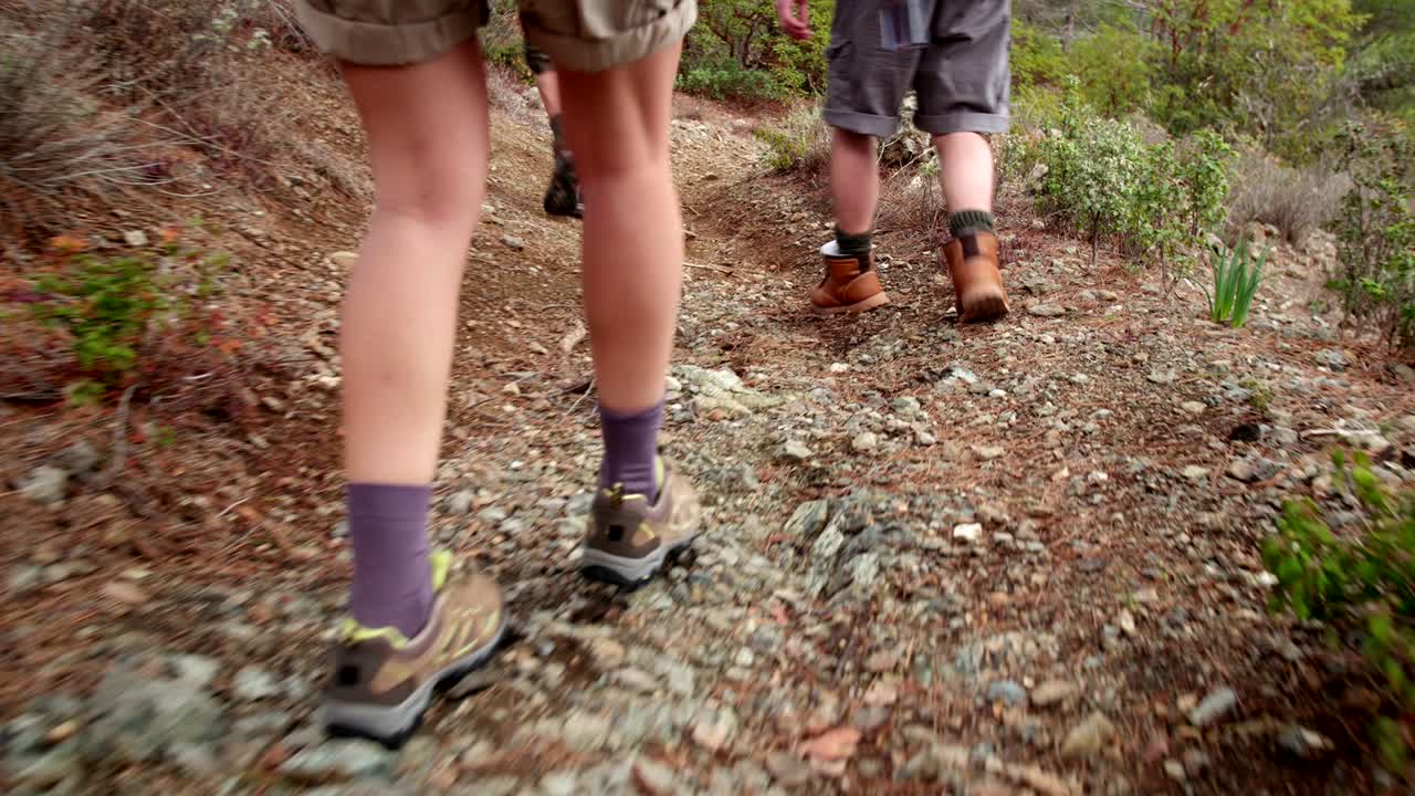 Close up young friends' legs hiking in the forest