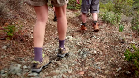 close up young friends' legs hiking in the forest