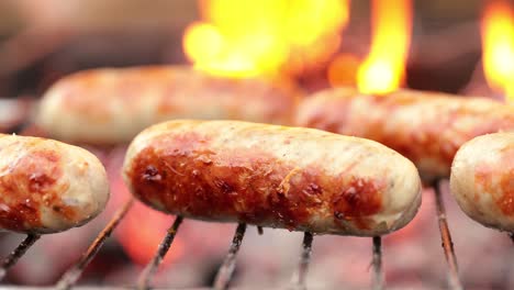 delicious juicy sausages, cooked on the grill with a fire