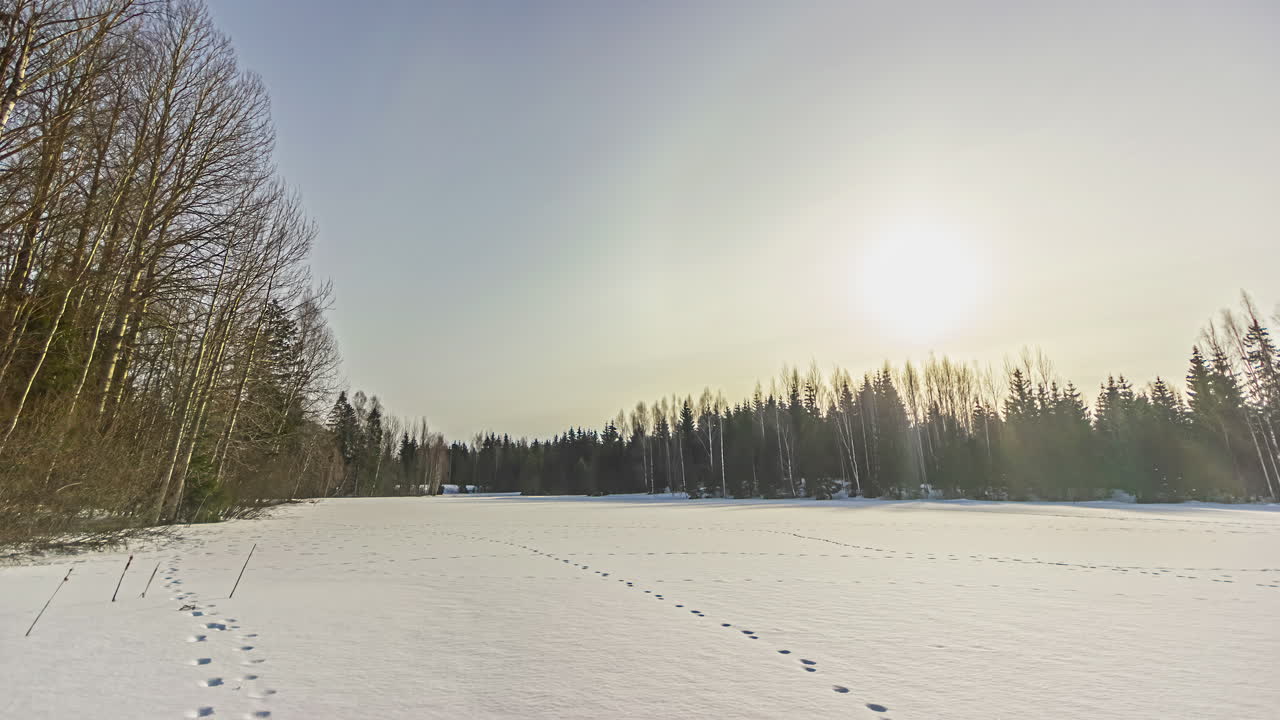 소나무 숲으로 둘러싸인 눈 덮힌 들판 위에 일출 동안 아름다운 태양 후광의 저속 촬영
