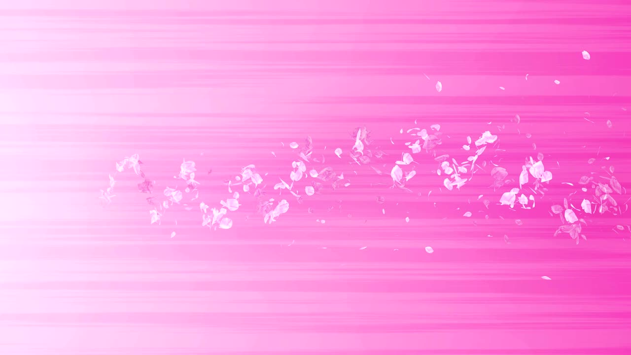 꽃의 나선형 반이는 입자, 사쿠라 패턴, 일본의 꽃 춤, 분홍색 꽃잎의 소용돌이, 추상적인 루프 애니메이션.