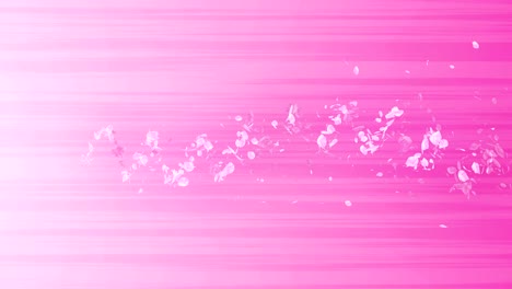 spiral shiny particle of cherry blossoms. sakura pattern. japanese cherry dancing. vortex from pink petals. abstract loop animation.