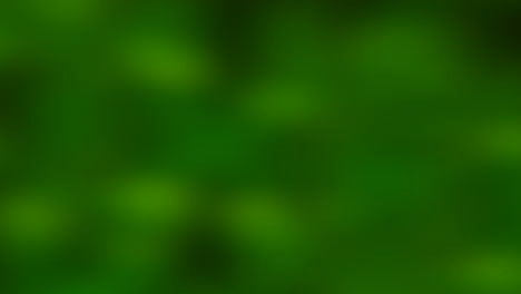 vibrant abstract background blurry green with white spots