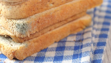 moldy bread: close-up of spoiled bread with blue mold