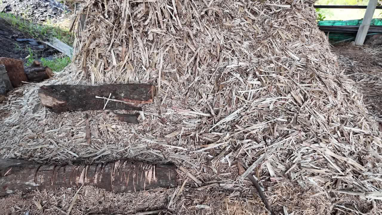Sugarcane bagasse piled under shelter after juice extraction, tropical rural setting