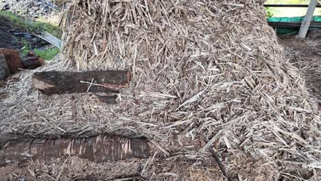 sugarcane bagasse piled under shelter after juice extraction, tropical rural setting