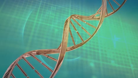 Animation-Der-Datenverarbeitung-über-DNA-Strang