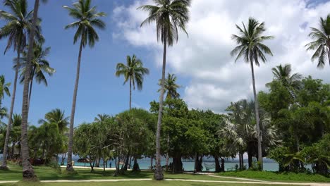 beautiful landscape of green lawn and lush growing trees in dos palmos island resort in puerto princesa, palawan, philippines - wide shot