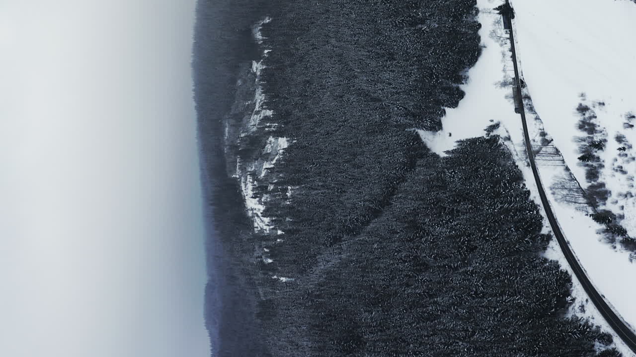 Vertical video: snowy European highland forest, truck driving on highway road
